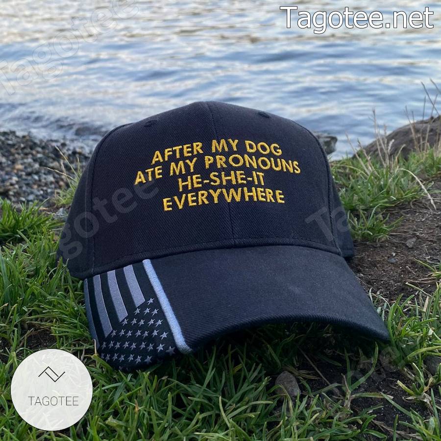 After My Dog Ate My Pronouns He She It Everywhere American Flag Cap