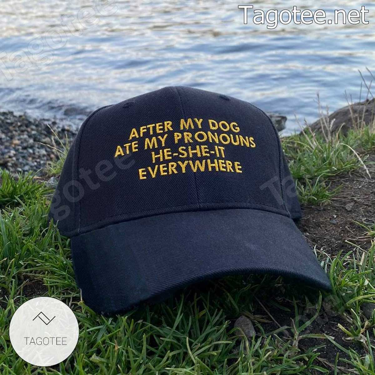 After-My-Dog-Ate-My-Pronouns-He-She-It-Everywhere-American-Flag-Cap